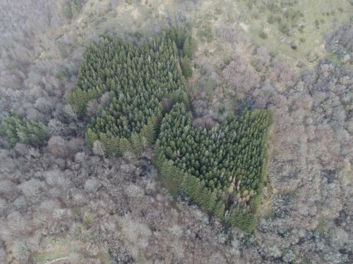 DJI_2182.JPG